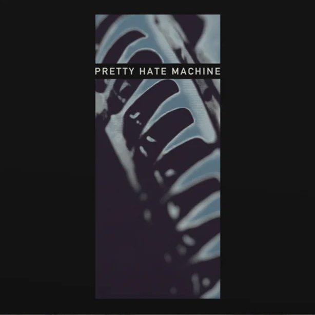 Nine Inch Nails – Pretty Hate Machine – 2010 Bicycle Remaster Vinyl 2 LP